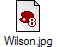 Wilson.jpg