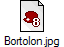 Bortolon.jpg